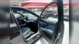BYD Dolphin - Miniatura 15