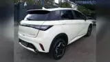 BYD Dolphin - Miniatura 4