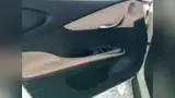 BYD Dolphin - Miniatura 13
