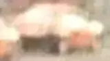 BYD Dolphin - Miniatura 14