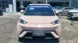 BYD Dolphin Mini - Miniatura 2