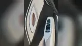 BYD Dolphin Mini - Miniatura 10