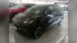BYD Dolphin Mini - Miniatura 1