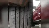 BYD Dolphin Mini - Miniatura 12