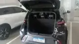 BYD Dolphin Mini - Miniatura 15