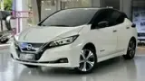 Nissan Leaf - Miniatura 1