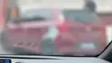 BYD Dolphin - Miniatura 11