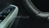 BYD Dolphin Mini - Miniatura 11
