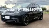 BYD Dolphin - Miniatura 2