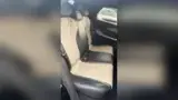 BYD Dolphin - Miniatura 9