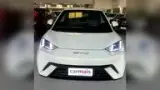 BYD Dolphin Mini - Miniatura 1