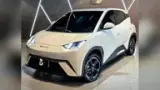 BYD Dolphin Mini - Miniatura 4