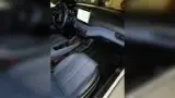 BYD Dolphin Mini - Miniatura 14