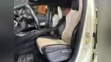 BYD Dolphin - Miniatura 15