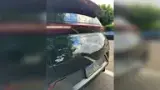 BYD Dolphin Mini - Miniatura 7