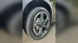 BYD Dolphin Mini - Miniatura 19