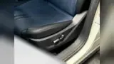 BYD Dolphin - Miniatura 7