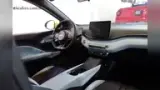 BYD Dolphin Mini - Miniatura 15