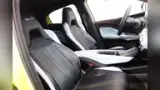 BYD Dolphin Mini - Miniatura 19