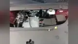 BYD Yuan Plus - Miniatura 11