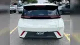 BYD Dolphin Mini - Miniatura 5
