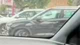 BYD Dolphin Mini - Miniatura 13