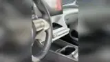 BYD Dolphin - Miniatura 11