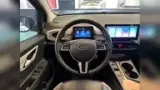 JAC E-JS1 - Miniatura 18