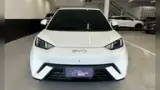 BYD Dolphin Mini - Miniatura 1