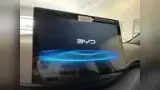 BYD Dolphin Mini - Miniatura 9