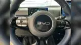 BYD Dolphin Mini - Miniatura 12