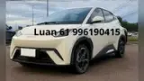BYD Dolphin Mini - Miniatura 1