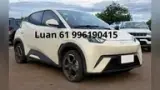 BYD Dolphin Mini - Miniatura 2