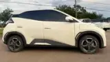 BYD Dolphin Mini - Miniatura 4