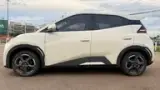 BYD Dolphin Mini - Miniatura 5