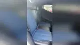 BYD Dolphin Mini - Miniatura 9