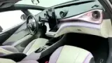 BYD Dolphin - Miniatura 15