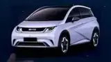 BYD Dolphin - Miniatura 19