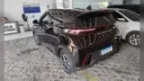 BYD Dolphin Mini - Miniatura 2