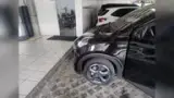 BYD Dolphin Mini - Miniatura 6