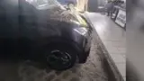BYD Dolphin Mini - Miniatura 7