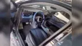 BYD Dolphin Mini - Miniatura 9