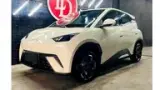BYD Dolphin Mini - Miniatura 4