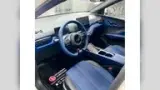 BYD Dolphin Mini - Miniatura 8