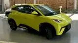 BYD Dolphin Mini - Miniatura 1