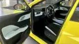 BYD Dolphin Mini - Miniatura 2