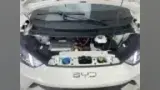 BYD Dolphin Mini - Miniatura 4