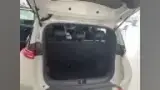 BYD Dolphin Mini - Miniatura 6