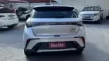 BYD Dolphin Plus - Miniatura 3