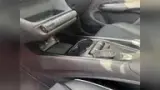 BYD Dolphin Plus - Miniatura 7
